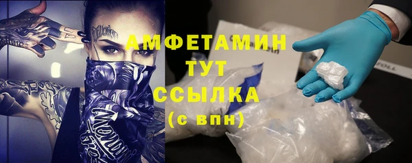гидра Аркадак
