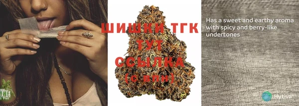 PSILOCYBIN Армянск